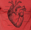 Anatomy of the Heart T-Shirt